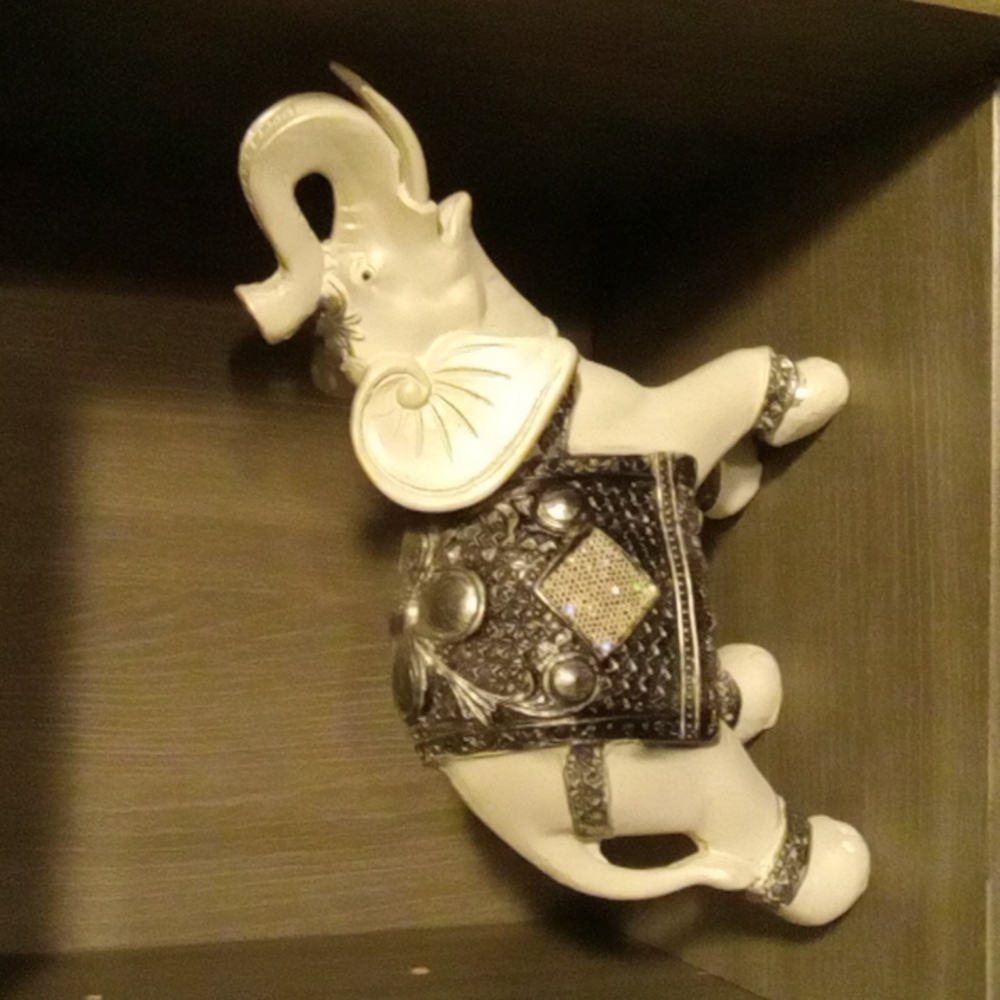 Grey and white elephant
